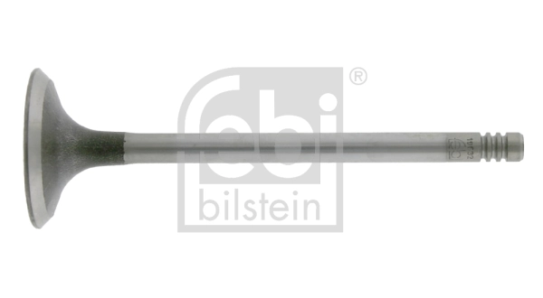 Intake Valve
